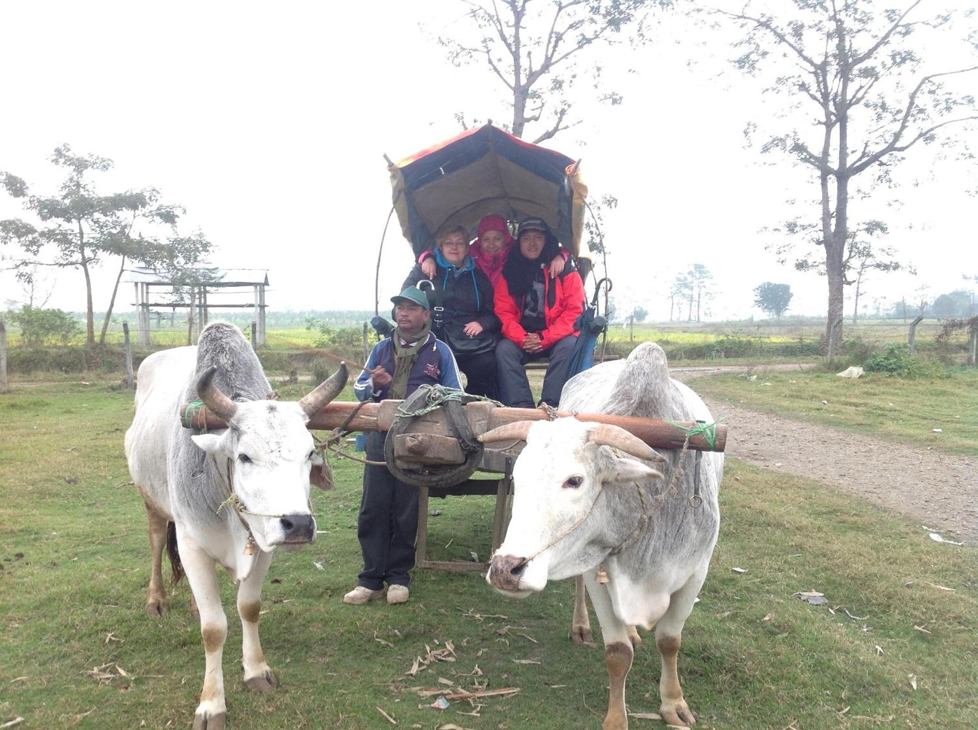 Everest Home Stay Apartment Lalitpur Экстерьер фото