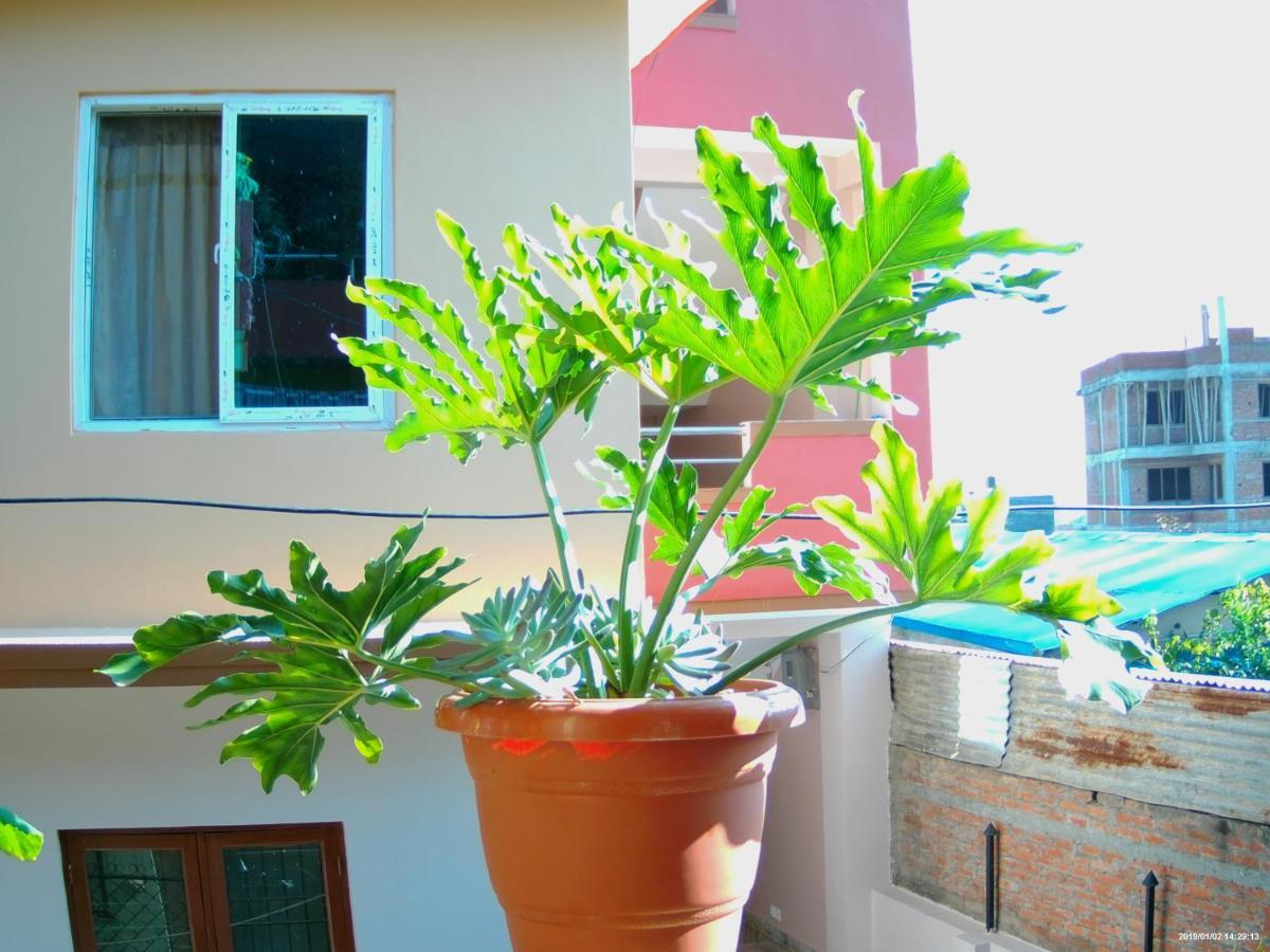 Everest Home Stay Apartment Lalitpur Экстерьер фото